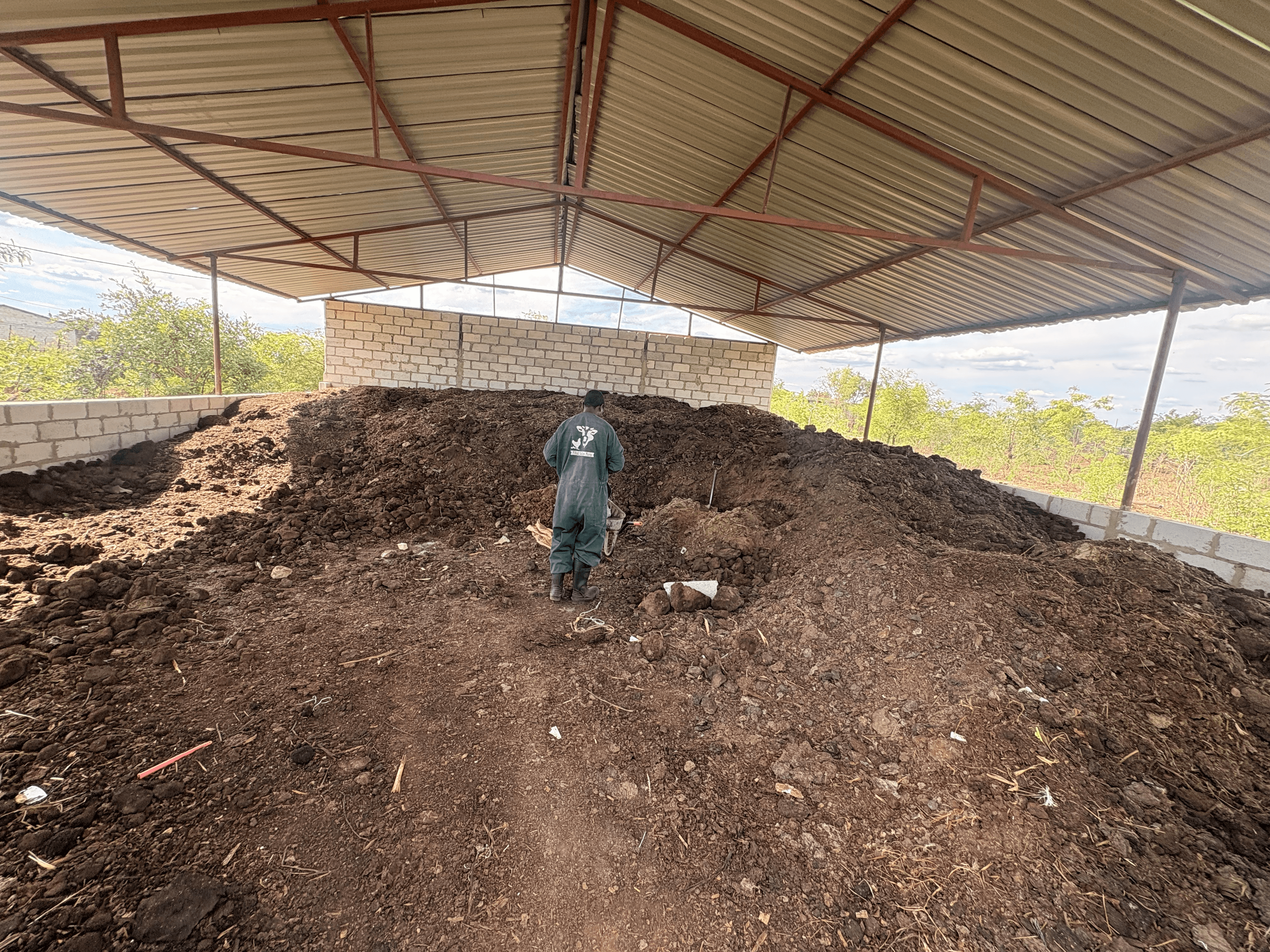 Jaz placeholder image 1