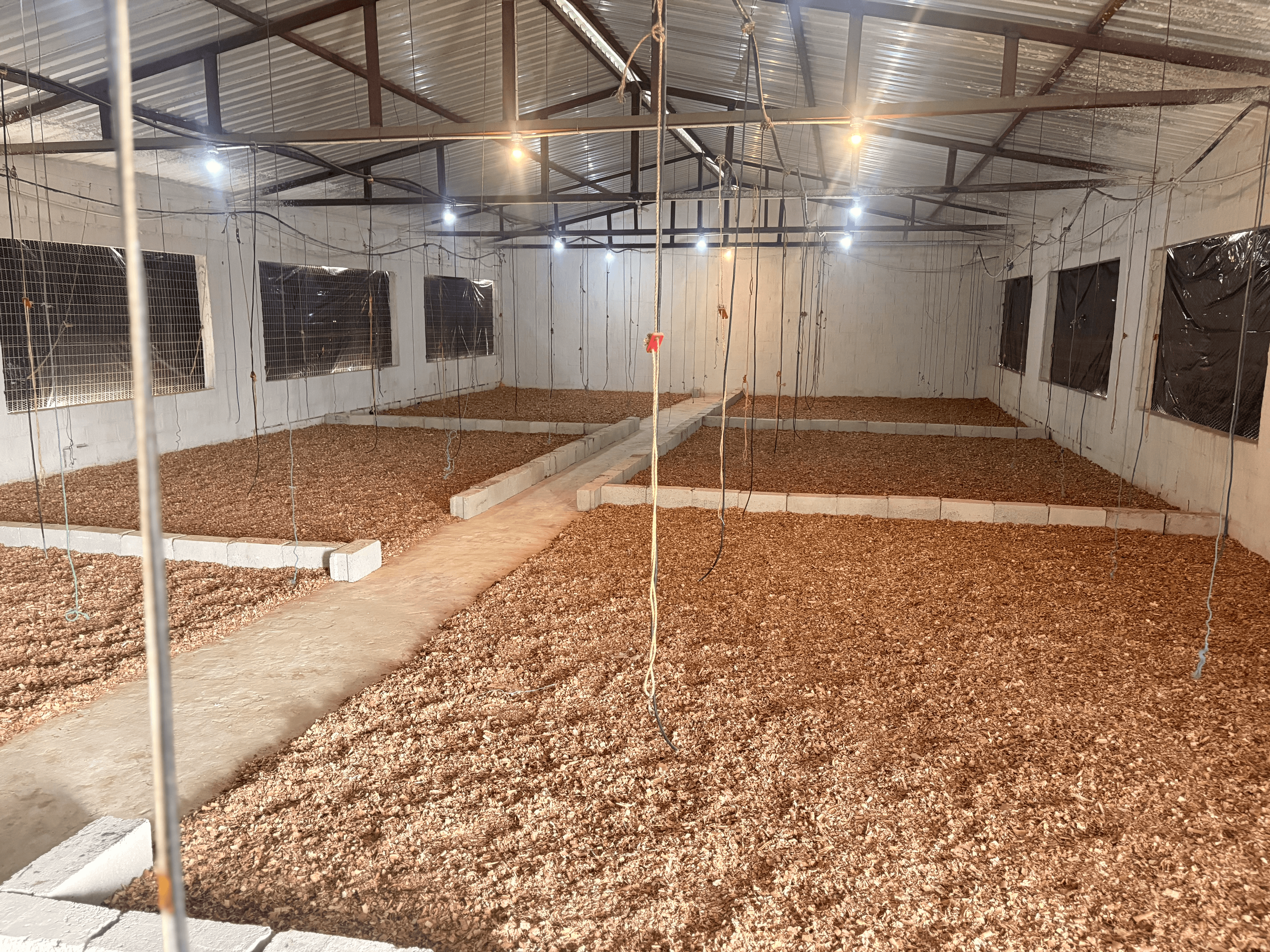 Jaz placeholder image